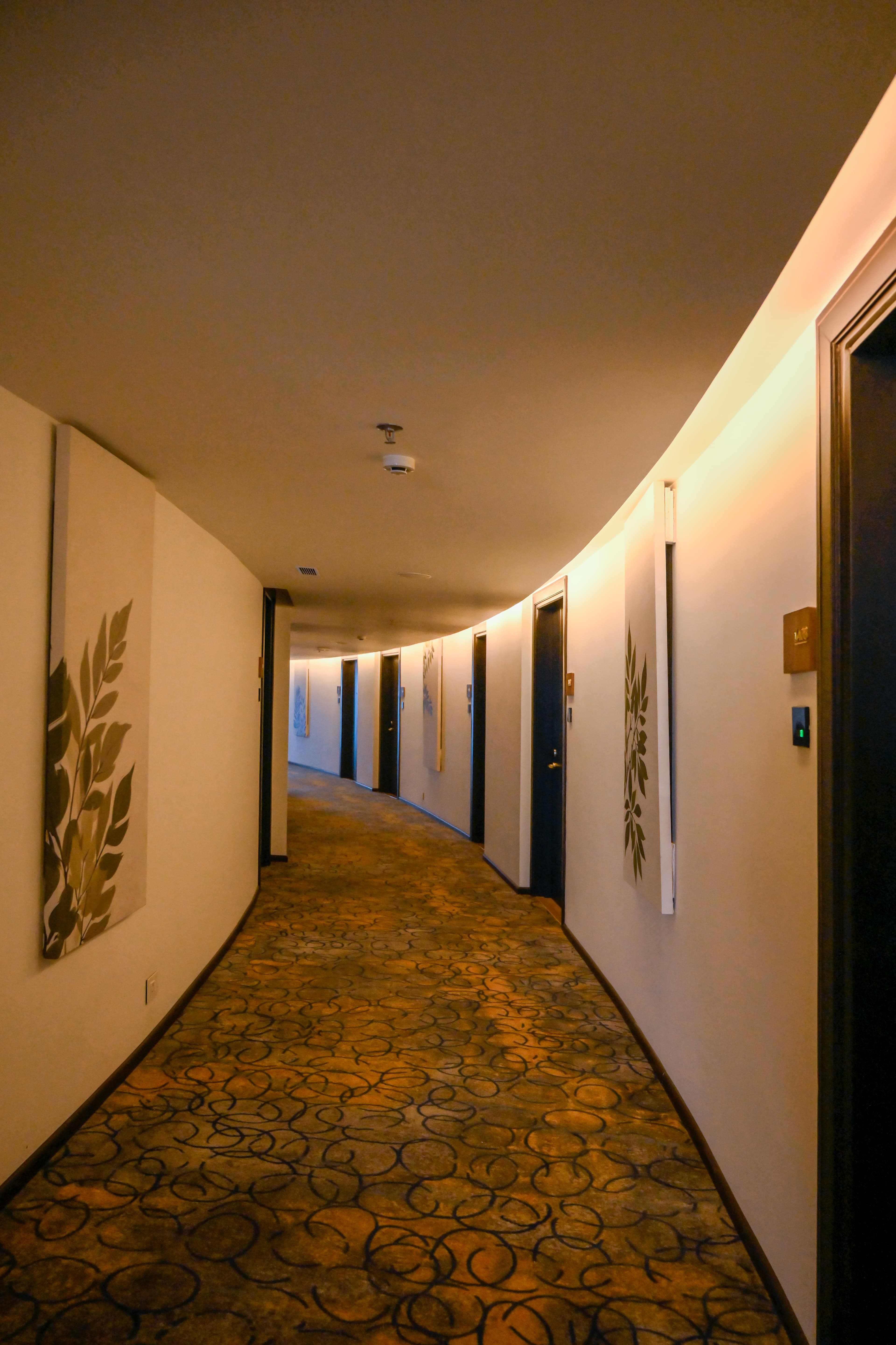 Gallery Image 9
